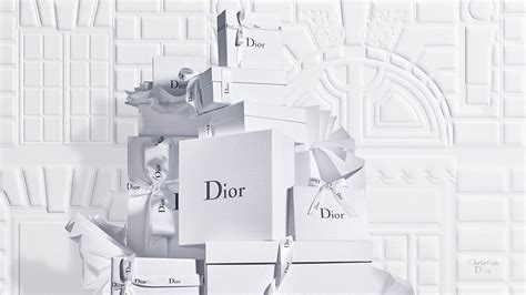 corpetto dior|dior official site usa.